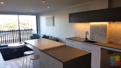 Huge room with en-suite and own private entrance available for rent in Grey Lynn