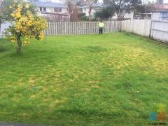 Clear TraCk lawn mowing serviCes