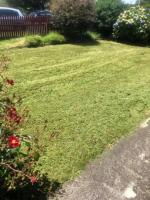 Lawnmowing & Gutter cleaning