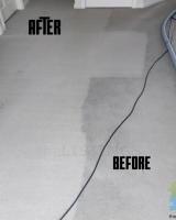 Carpet Steam Shampoo