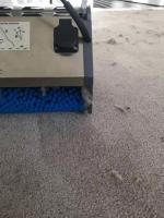 Carpet steam wash & pest control