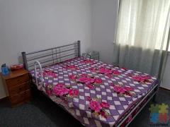 Accomodation in Mount Roskill