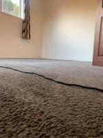 CARPET AND UPHOLSTERY SHAMPOO CLEANING