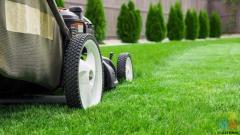 The services I offer our Lawns, Garden Maintenance, Hedges, Garden waste clearance and Gutter cleani
