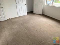 CARPET AND UPHOLSTERY SHAMPOO CLEANING