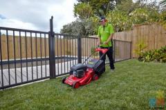 Well established lawn and garden business available in the Central and East Auckland area.