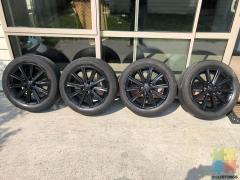 Toyota camry Factory Alloy