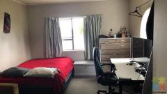 225 DOUBLE AND 205 SINGLE ROOM IN REMUERA