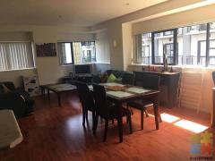 Shared room in Auckland CBD