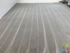 WE OFFER CARPET AND UPHOLSTERY SHAMPOO CLEANING