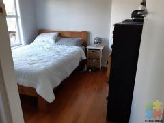 1 Single bedroom for rent | Grey lynn
