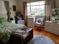 A sunny granny flat for rent