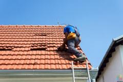 Roofing Labourers