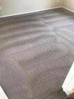 Steam CARPET CLEANING SERVICES
