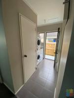 1 room in 3 bed house, Waterview Central AKl