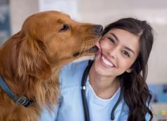 Animal Care Assistant
