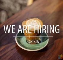 We are looking for an experienced Assistant manager / Head barista