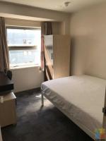 Auckland CBD---Single room for a student or young work professional