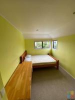 Sunny Room for Rent On Orchard Road, Waiake Auckland 0630