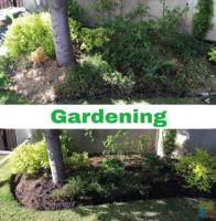 Are you looking for help with your garden maintenance or landscaping?
