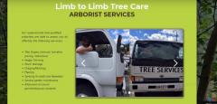 Limb to limb tree care limited