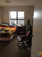 Room for rent $per week