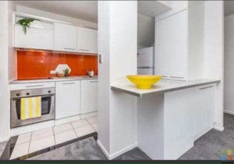 Single room Auckland city, close to the harbour!