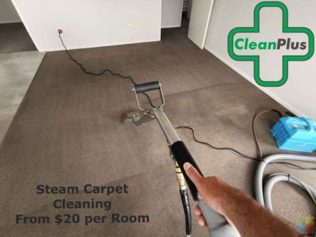 Steam Carpet shampoo