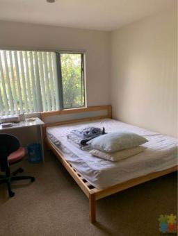 2 rooms available in Milford