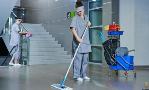 Janitorial Cleaner