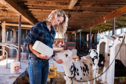 I'm on the look for a dairy farm assistant roll