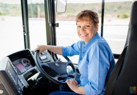 Fulltime Urban Bus Driver
