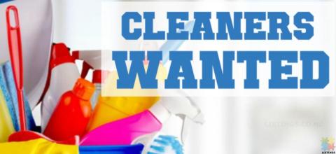 Domestic Cleaners Wanted