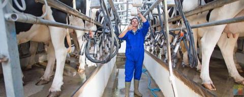 Contract Milking/Management position