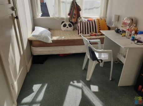 Flatmate Wanted for a SINGLE ROOM