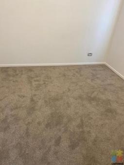 Room Available in Flatbush