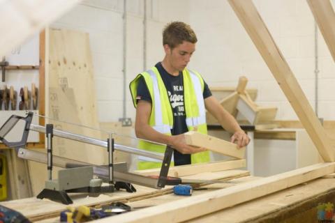 CARPENTERS AND APPRENTICES WANTED- WELLINGTON