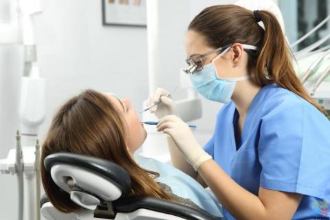 Dental Hygienist | Maternity | Wellington CBD, NZ