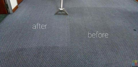 Carpet and sofa steam cleaning