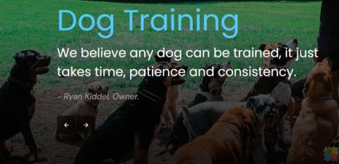 Good Dog Training