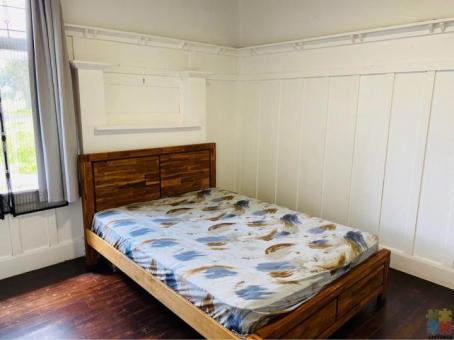Spacious Single Room Available in Mt Eden