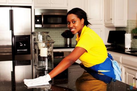Housekeeper (Cleaning and Laundry)