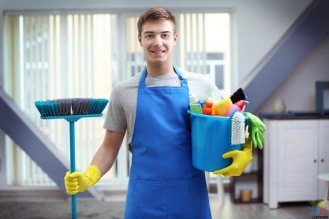 We are looking for a reliable monthly cleaner