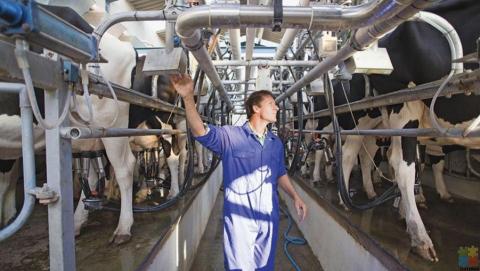 dairy farming employers