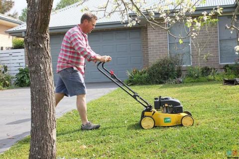 Don't have time to mow your lawns?