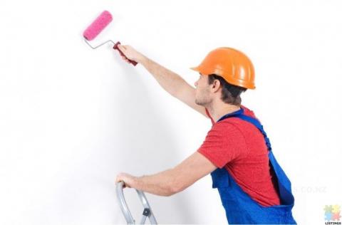 Experienced Painter wanted (leader)