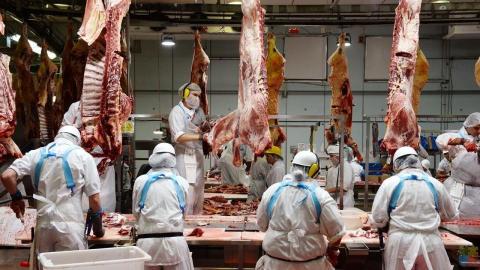 We are looking for people to start work IMMEDIATLY at a meat processing factory