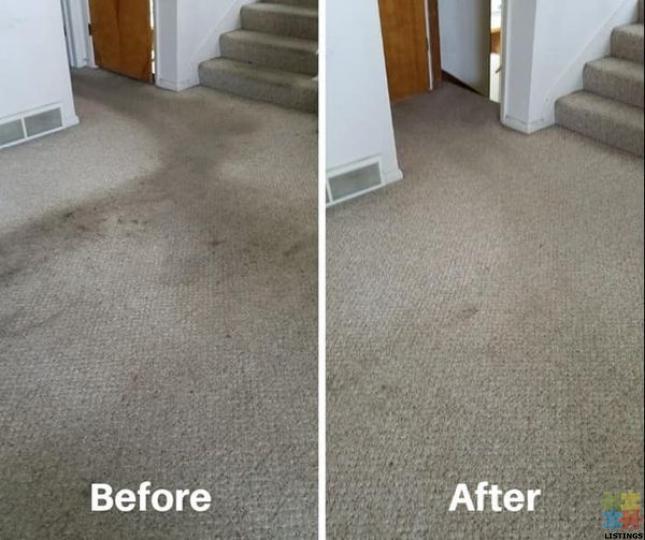 Carpet and upholstery steam cleaning - 1/1