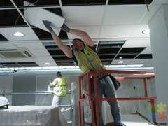 Suspended Ceiling Installers