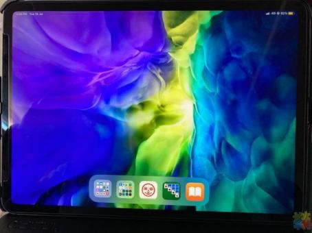 iPad Pro (11-inch) 2nd Gen 512gb WIFI + Cellular